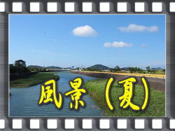 風景(夏)