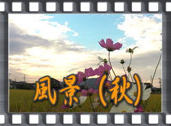 風景(秋)