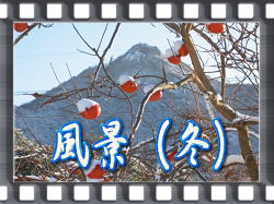風景(冬)